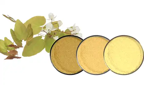 Can Epimedium Extract Powder Help with Female Hormonal Health?